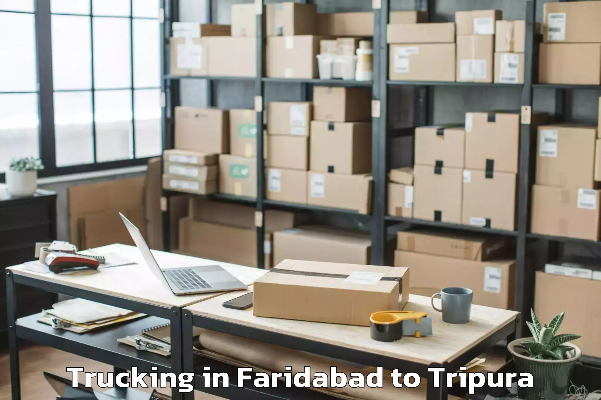 Easy Faridabad to Nit Agartala Trucking Booking